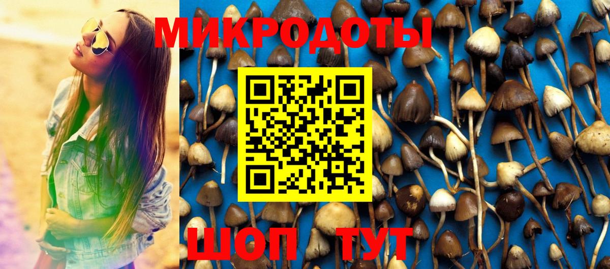 Гулькевичи  Галлюциногенные грибы GOLDEN TEACHER  Вход с VPN 